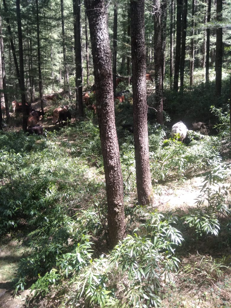 Pictures from 04 April, 2022
