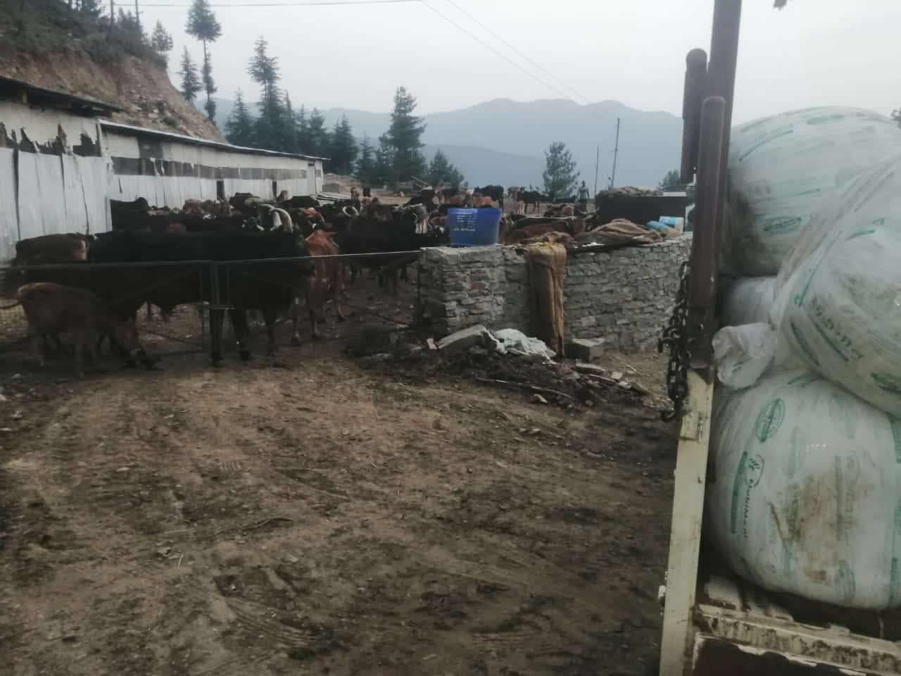 Delivery of Green Fodder from Donatekart – May 18, 2022
