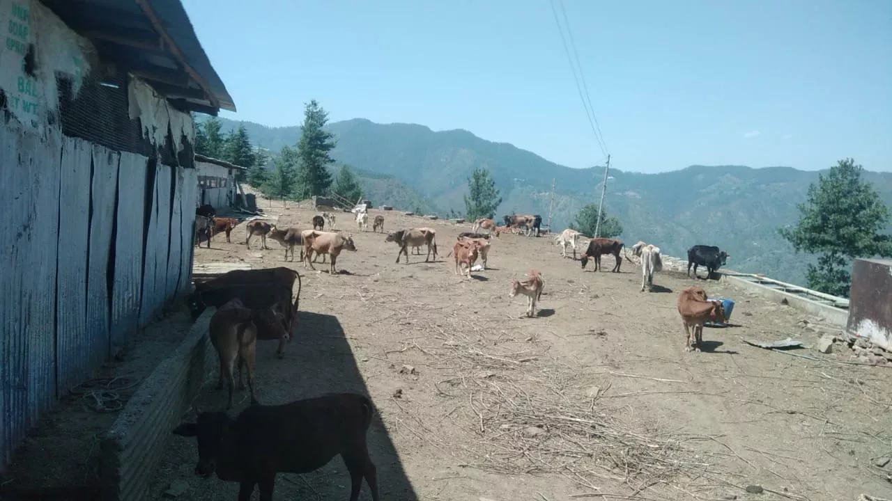 A thank you message for our donors on Donatekart
