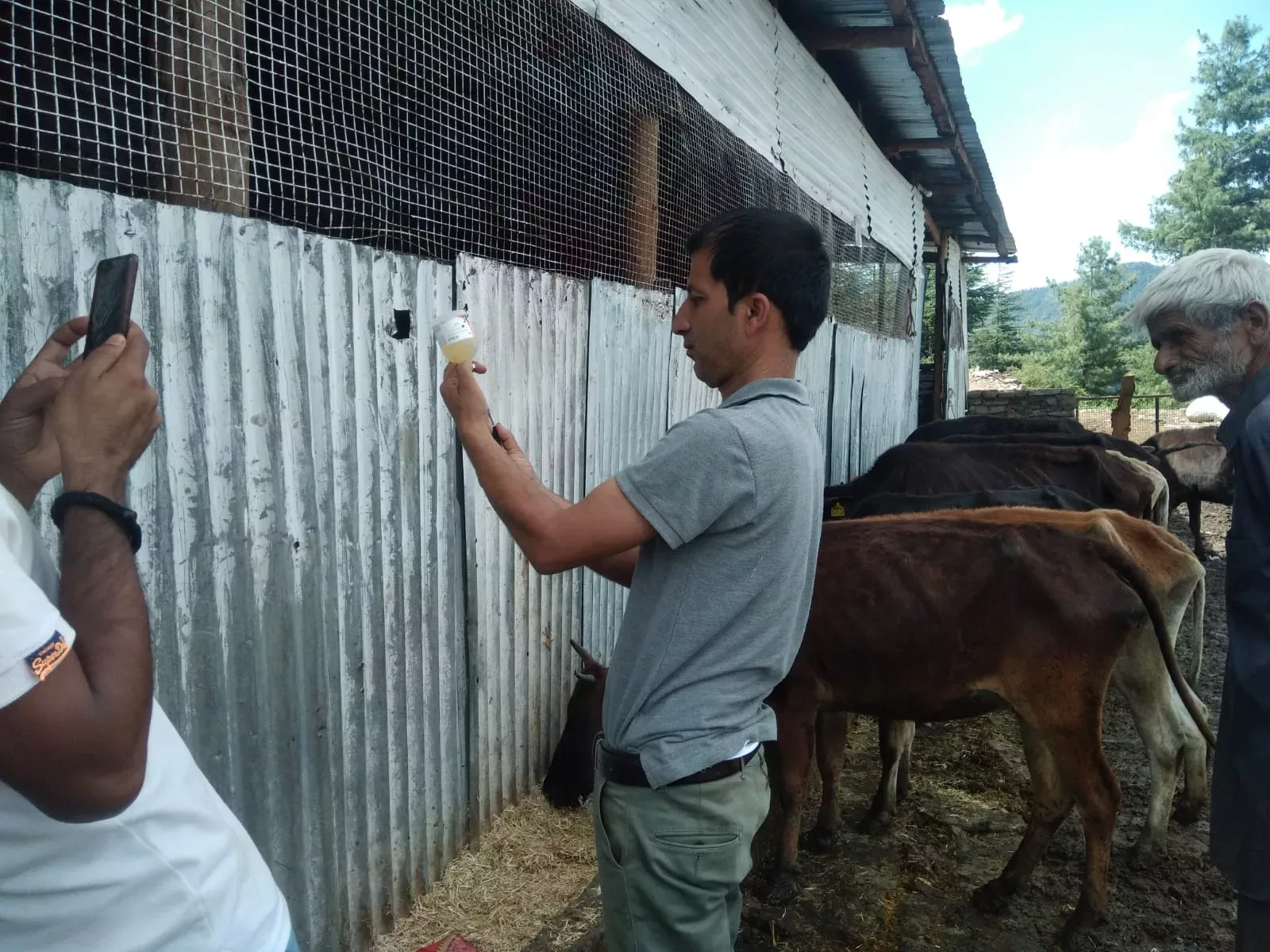 Dry Fodder Delivery from Donatekart and Medical Checkup of Animals – 15 July 2022
