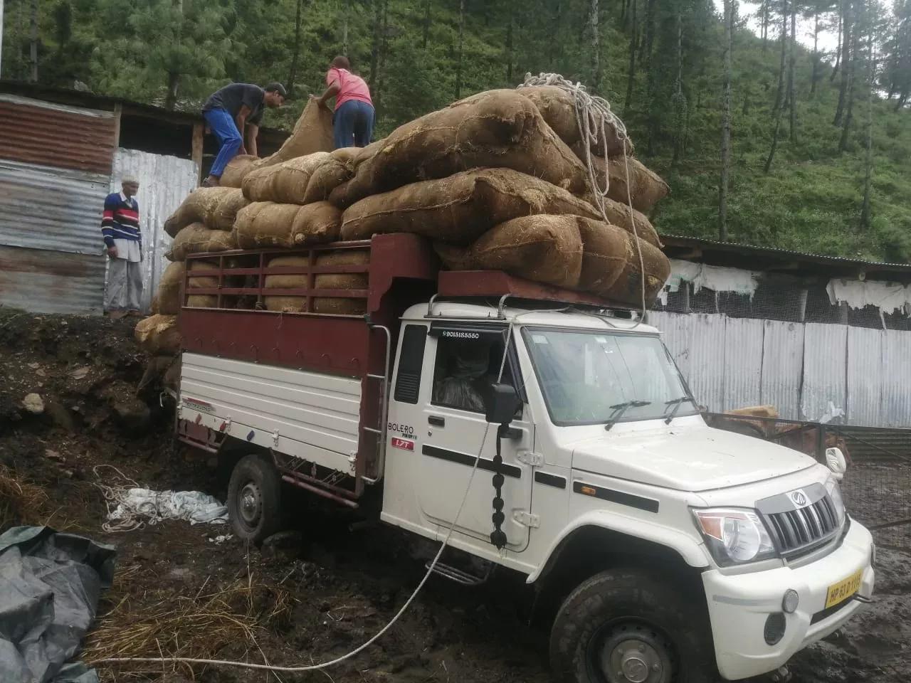 Dry Fodder (Turi) from Donatekart – July 29, 2022