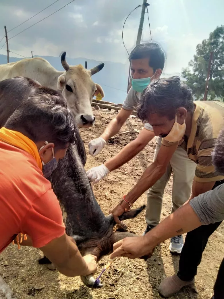 सरकारी अधिकारियों द्वारा कीटाणुशोधन और टीकाकरण अभियान