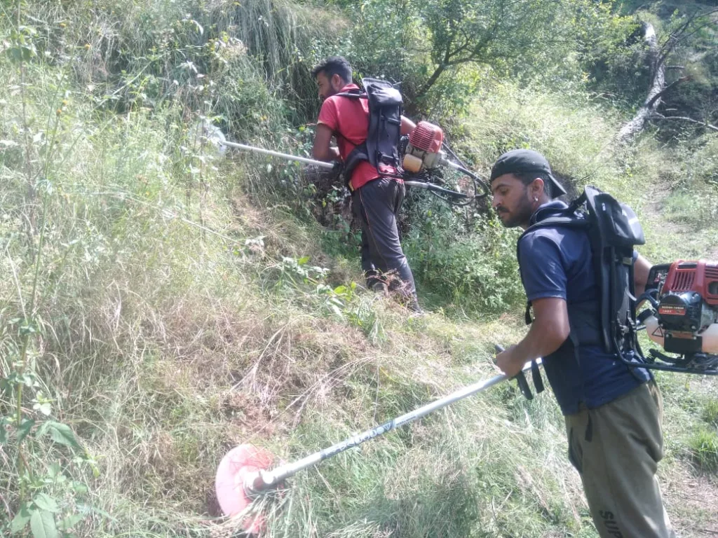 Green grass cutting at our gaushala