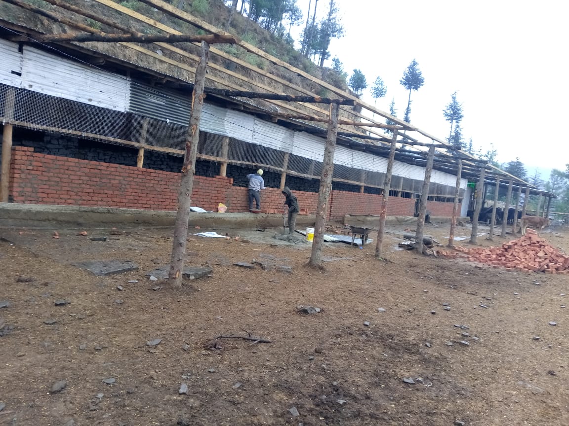 Work to improve our shelter is in full swing