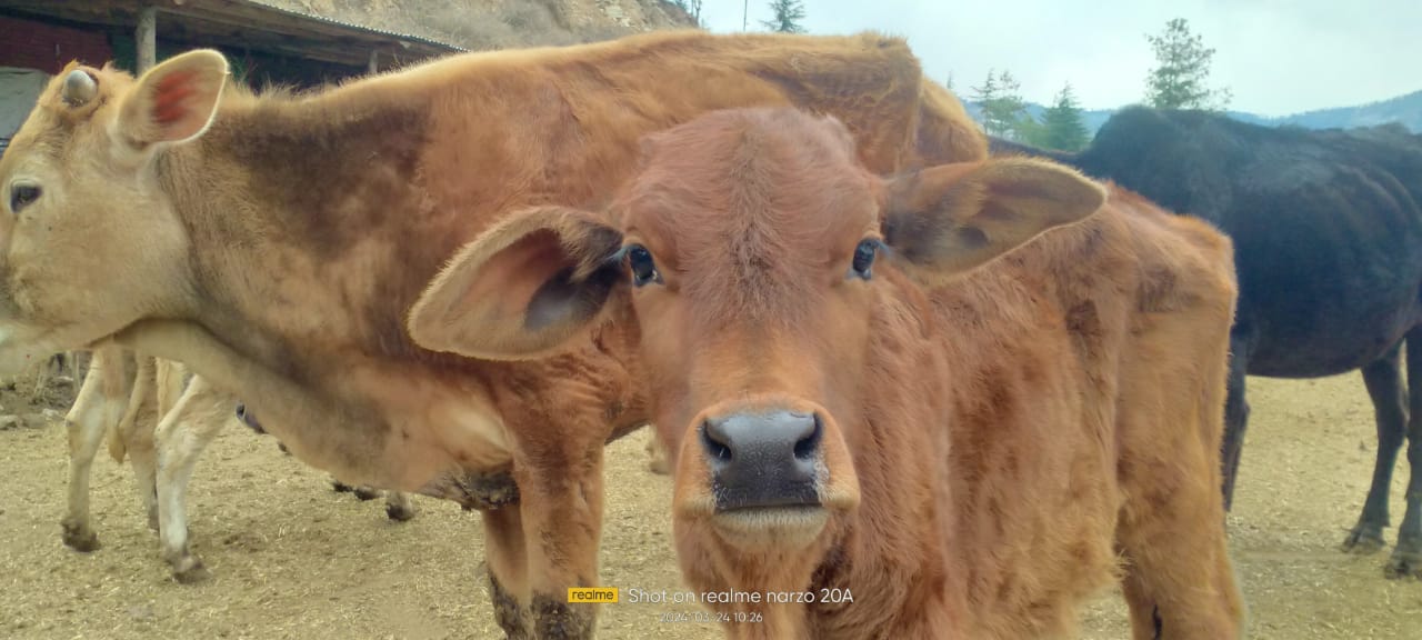 Pictures from March 23, 2024