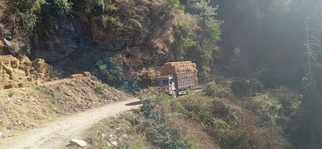 Stocking up on parali