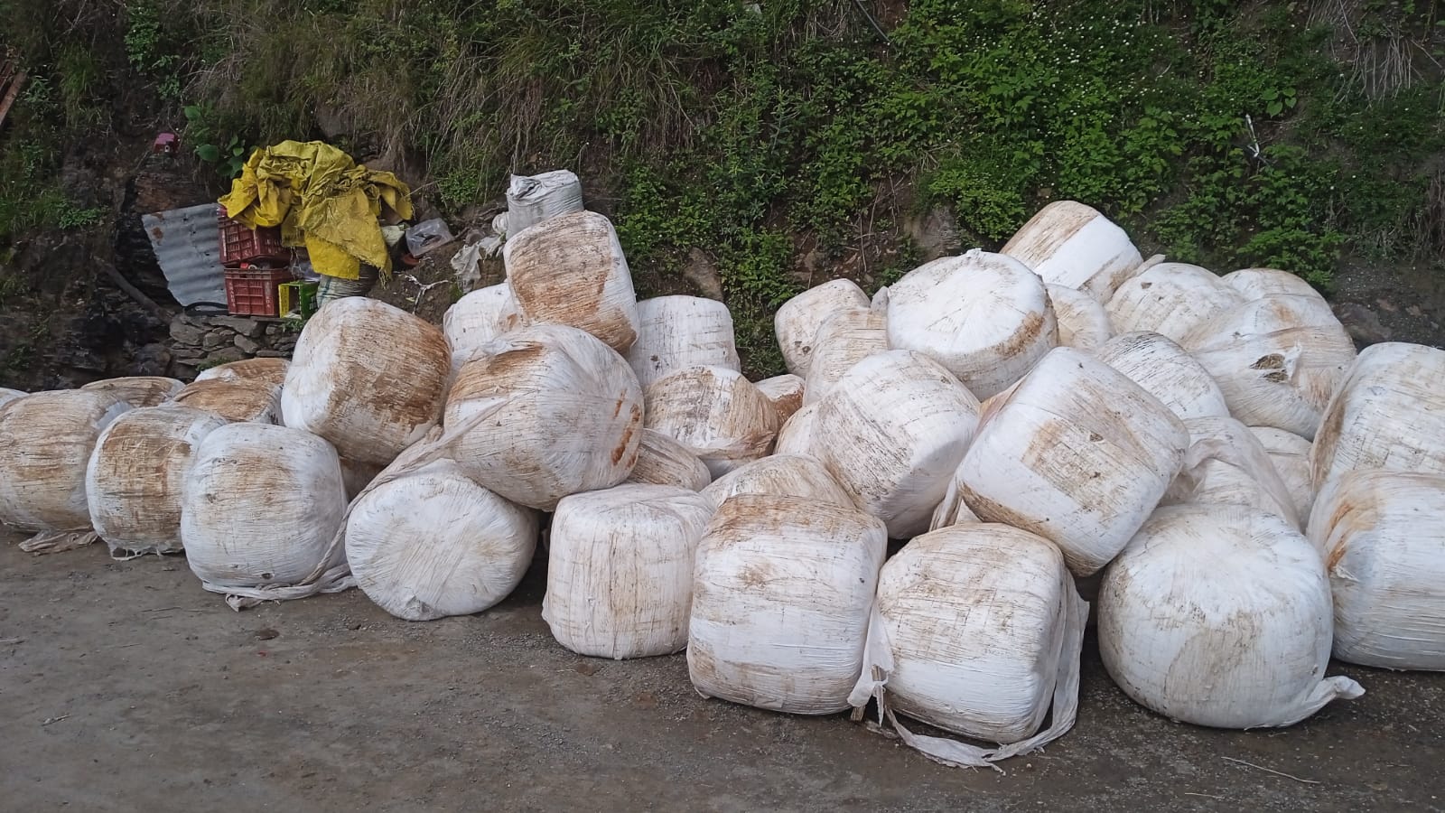 Silage Delivery – 12 July 2026