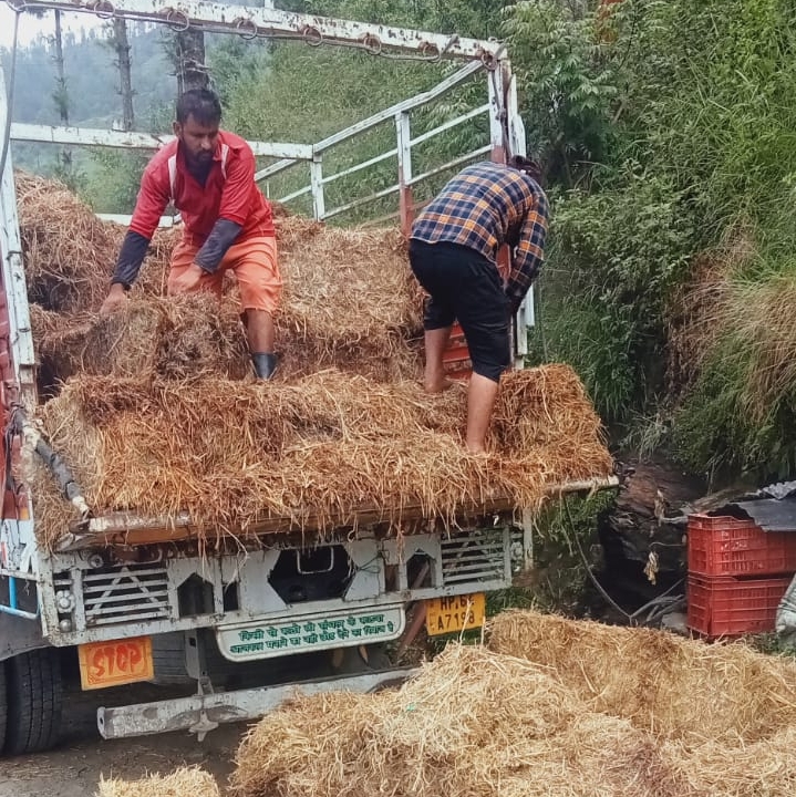 Parali Delivery – 23 August